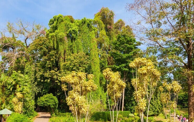 Sri Lanka En